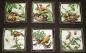 Preview: Patchworkstoff Panel mit Vogelbilder