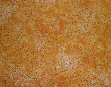Batik Patchworkstoff orange mit Punkten