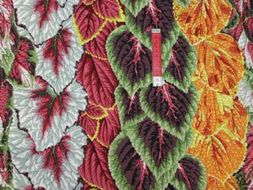 Patchworkstoff grosse Blätter