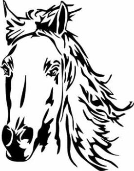 Pferd PL-0005
